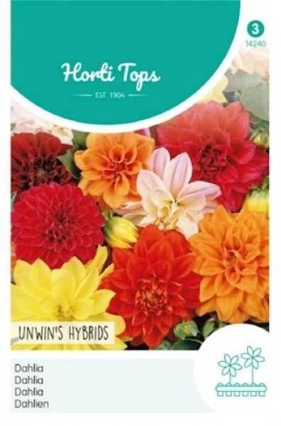 14240 zinna zmes_500x500